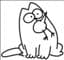 BARFmycat